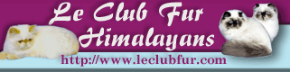 Le Club Fur Himalayans