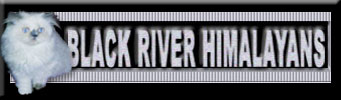 Black River Himalayans logo